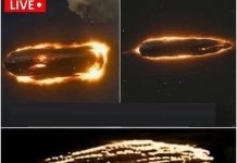 NASA panics after detecting that something is heading toward Earth… See more. NASA panics after detecting that something is heading toward Earth… See more. - featured image