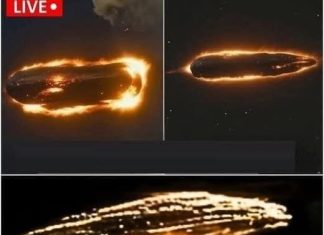 NASA panics after detecting that something is heading toward Earth… See more. NASA panics after detecting that something is heading toward Earth… See more. - featured image