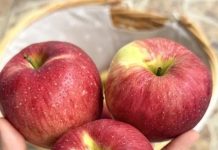 Nutrition Experts Reveal Surprising Health Benefits of Eating Apples Nutrition Experts Reveal Surprising Health Benefits of Eating Apples - featured image