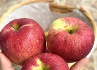 Nutrition Experts Reveal Surprising Health Benefits of Eating Apples Nutrition Experts Reveal Surprising Health Benefits of Eating Apples - featured image