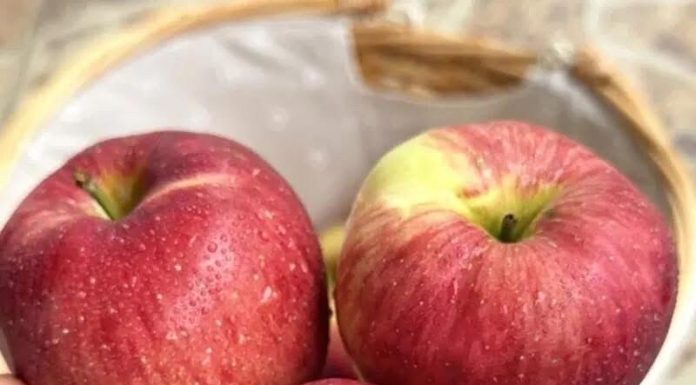 Nutrition Experts Reveal Surprising Health Benefits of Eating Apples Nutrition Experts Reveal Surprising Health Benefits of Eating Apples - featured image