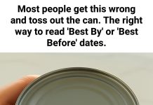 Understanding What Expiration Dates Mean for Canned Foods Understanding What Expiration Dates Mean for Canned Foods - featured image