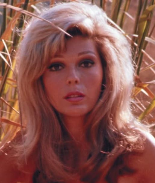 At 85, Nancy Sinatra Still Shines — Here’s How She’s Doing Today - featured image At 85, Nancy Sinatra Still Shines — Here’s How She’s Doing Today - featured image