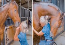 WHEN INNOCENCE MEETS IGNORANCE: A LESSON IN SILENCE WHEN INNOCENCE MEETS IGNORANCE: A LESSON IN SILENCE - featured image