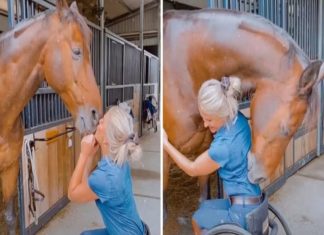 WHEN INNOCENCE MEETS IGNORANCE: A LESSON IN SILENCE WHEN INNOCENCE MEETS IGNORANCE: A LESSON IN SILENCE - featured image