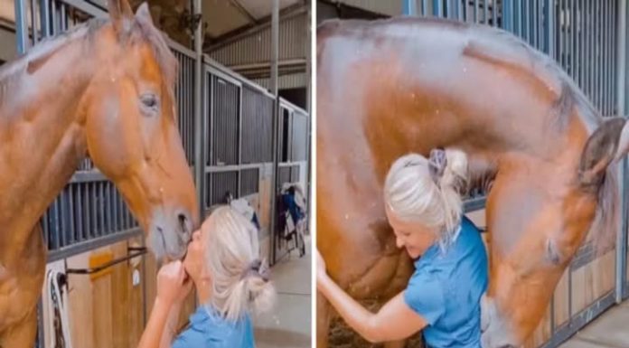 WHEN INNOCENCE MEETS IGNORANCE: A LESSON IN SILENCE WHEN INNOCENCE MEETS IGNORANCE: A LESSON IN SILENCE - featured image