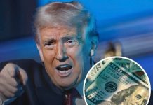 ld plan on Trut ld plan on Trut - featured image