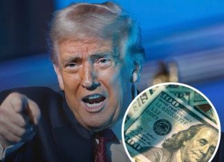 ld plan on Trut ld plan on Trut - featured image