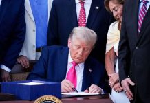 New SNAP Updates Start in November — What Households Should Know New SNAP Updates Start in November — What Households Should Know - featured image