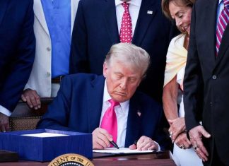 New SNAP Updates Start in November — What Households Should Know New SNAP Updates Start in November — What Households Should Know - featured image