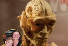 Museum issues response after mom claims she saw son’s “skinned” body displayed Museum issues response after mom claims she saw son’s “skinned” body displayed - featured image