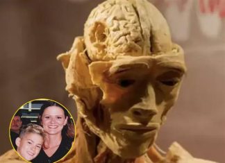 Museum issues response after mom claims she saw son’s “skinned” body displayed Museum issues response after mom claims she saw son’s “skinned” body displayed - featured image