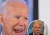 Biden Responds Forcefully to New Poll Showing Americans Favor Trump Over Obama Biden Responds Forcefully to New Poll Showing Americans Favor Trump Over Obama - featured image