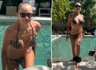 Sharon Stone, 66, shows off fit figure in tiny bikini after pool workout Sharon Stone, 66, shows off fit figure in tiny bikini after pool workout - featured image