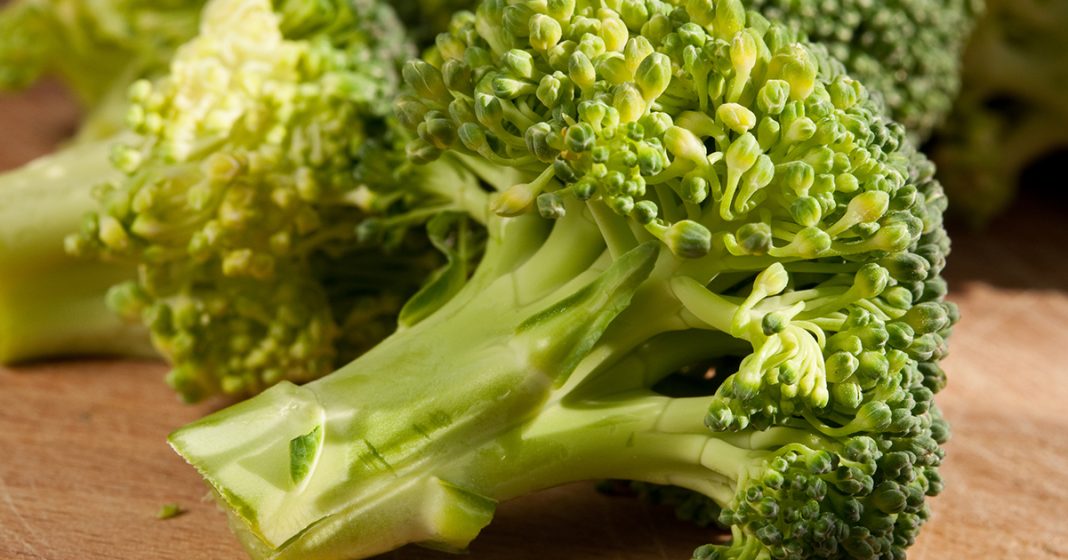 Mom latest to die from ‘toxic broccoli’ sandwich – 17 others hospitalized - featured image