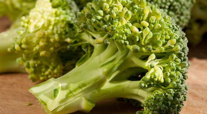 Mom latest to die from ‘toxic broccoli’ sandwich – 17 others hospitalized Mom latest to die from ‘toxic broccoli’ sandwich – 17 others hospitalized - featured image