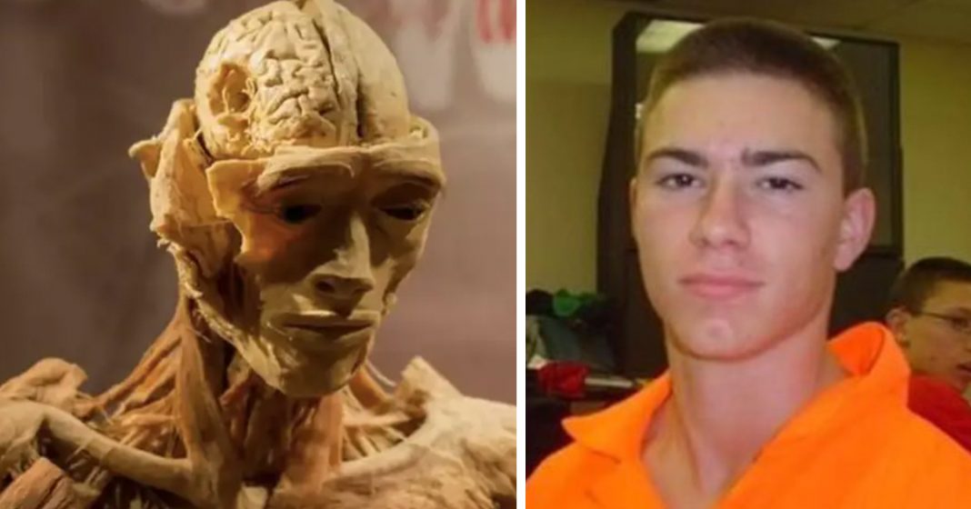 Museum issues response after mom claims she saw son’s “skinned” body displayed - featured image