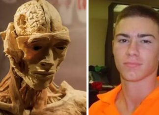 Museum issues response after mom claims she saw son’s “skinned” body displayed Museum issues response after mom claims she saw son’s “skinned” body displayed - featured image