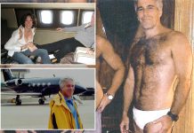 Jeffrey Epstein had a tiny, ‘extremely deformed’ penis shaped like a lemon: victim Jeffrey Epstein had a tiny, ‘extremely deformed’ penis shaped like a lemon: victim - featured image