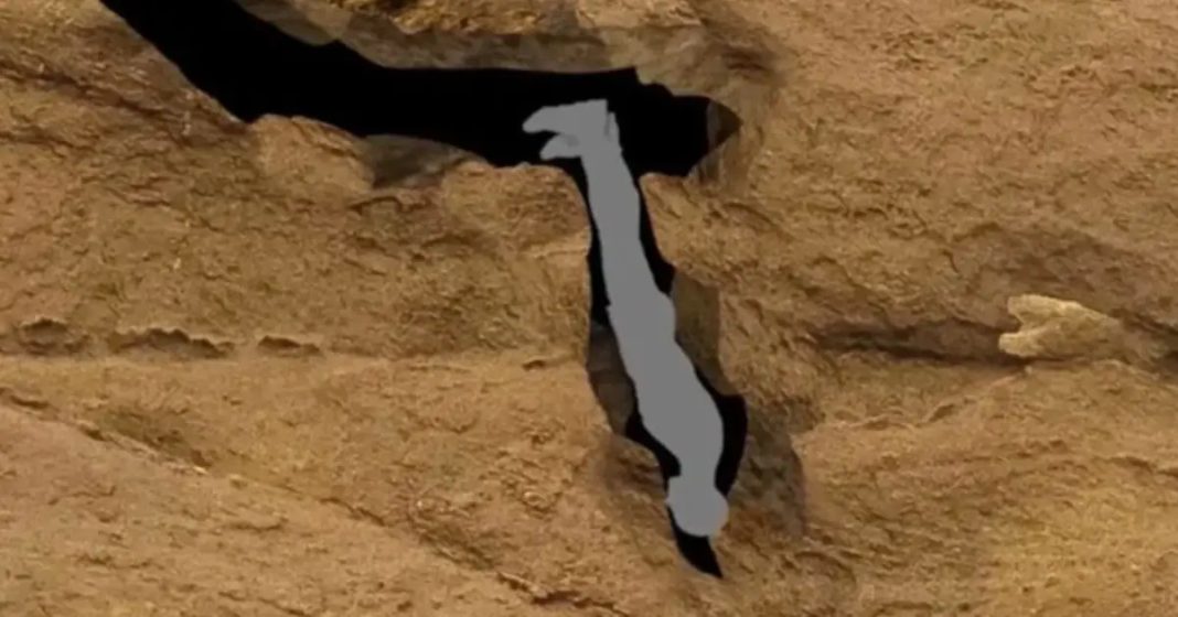 Harrowing final words of man who suffered ‘worst death ever’ - featured image