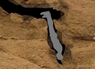 Harrowing final words of man who suffered ‘worst death ever’ Harrowing final words of man who suffered ‘worst death ever’ - featured image