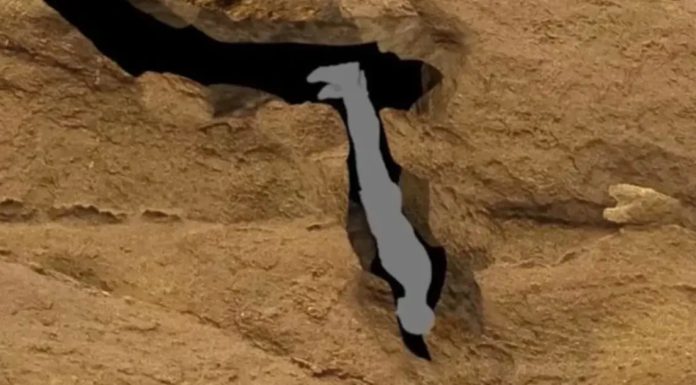 Harrowing final words of man who suffered ‘worst death ever’ Harrowing final words of man who suffered ‘worst death ever’ - featured image