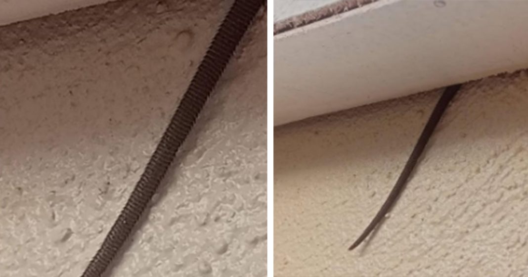 Online user finds creepy object hanging from ceiling - featured image