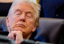 Trump claims he’s ‘not a sleeper’ despite being seen ‘passed out’ in chair during meeting Trump claims he’s ‘not a sleeper’ despite being seen ‘passed out’ in chair during meeting - featured image