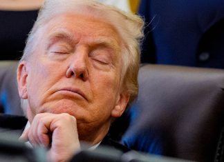 Trump claims he’s ‘not a sleeper’ despite being seen ‘passed out’ in chair during meeting Trump claims he’s ‘not a sleeper’ despite being seen ‘passed out’ in chair during meeting - featured image