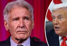 Harrison Ford has scathing message for Donald Trump Harrison Ford has scathing message for Donald Trump - featured image