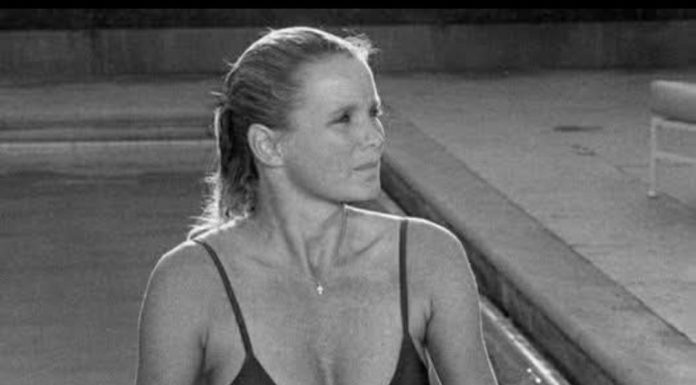 The Silent Sensation Behind TV’s Golden Hours The Silent Sensation Behind TV’s Golden Hours - featured image