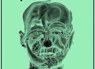 Your First Animal Is Going To Show Your Biggest Flaw As A Person Your First Animal Is Going To Show Your Biggest Flaw As A Person - featured image