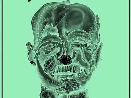 Your First Animal Is Going To Show Your Biggest Flaw As A Person Your First Animal Is Going To Show Your Biggest Flaw As A Person - featured image