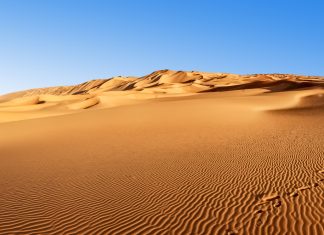 Dismembered body of crypto millionaire and wife found in Dubai Dismembered body of crypto millionaire and wife found in Dubai - featured image