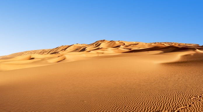 Dismembered body of crypto millionaire and wife found in Dubai Dismembered body of crypto millionaire and wife found in Dubai - featured image