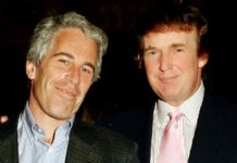 White House ‘identifies’ alleged Epstein victim said to have spent “hours” with Trump White House ‘identifies’ alleged Epstein victim said to have spent “hours” with Trump - featured image