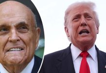 Donald Trump just pardoned dozens of people involved in bid to overturn 2020 election Donald Trump just pardoned dozens of people involved in bid to overturn 2020 election - featured image