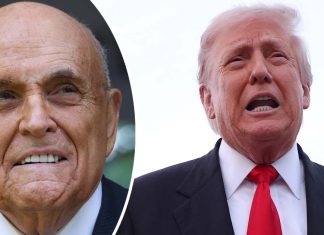 Donald Trump just pardoned dozens of people involved in bid to overturn 2020 election Donald Trump just pardoned dozens of people involved in bid to overturn 2020 election - featured image