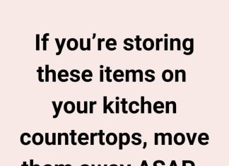 The 10 Things You Should Never Store on Your Kitchen Countertops — And Why Most People Still Do It The 10 Things You Should Never Store on Your Kitchen Countertops — And Why Most People Still Do It - featured image