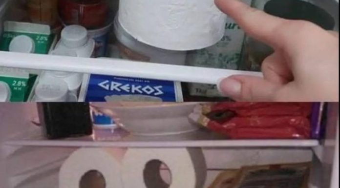 Why People Are Putting Paper Towels in the Fridge Why People Are Putting Paper Towels in the Fridge - featured image