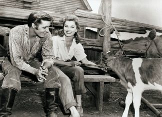 Elvis Stole Every Scene, But His Hair Told a Different Story Elvis Stole Every Scene, But His Hair Told a Different Story - featured image