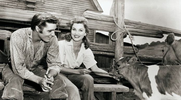 Elvis Stole Every Scene, But His Hair Told a Different Story Elvis Stole Every Scene, But His Hair Told a Different Story - featured image