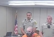 When the Courtroom Turns Chaotic: A Lighthearted Look at Fiction’s Wildest Legal Meltdowns When the Courtroom Turns Chaotic: A Lighthearted Look at Fiction’s Wildest Legal Meltdowns - featured image