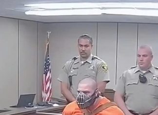 When the Courtroom Turns Chaotic: A Lighthearted Look at Fiction’s Wildest Legal Meltdowns When the Courtroom Turns Chaotic: A Lighthearted Look at Fiction’s Wildest Legal Meltdowns - featured image