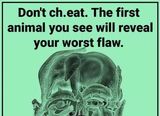 The First Animal You See in This Optical Illusion Might Reveal Your Biggest Flaw The First Animal You See in This Optical Illusion Might Reveal Your Biggest Flaw - featured image