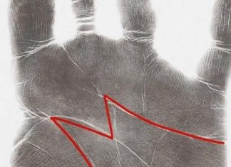 The Hidden Meaning of the “M” on Your Palm: What It Reveals About Life, Love, and Destiny The Hidden Meaning of the “M” on Your Palm: What It Reveals About Life, Love, and Destiny - featured image