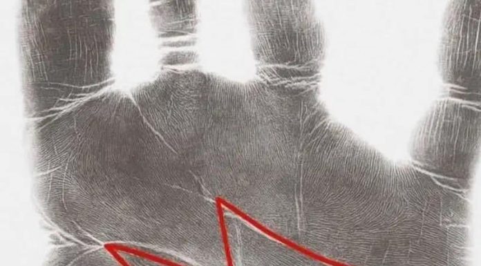 The Hidden Meaning of the “M” on Your Palm: What It Reveals About Life, Love, and Destiny The Hidden Meaning of the “M” on Your Palm: What It Reveals About Life, Love, and Destiny - featured image