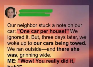 Our Meddling Neighbor Had Our Cars Towed from Our Own Driveway—She Quickly Regretted It Our Meddling Neighbor Had Our Cars Towed from Our Own Driveway—She Quickly Regretted It - featured image