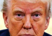 The latest polls on Trump’s approval are downright astonishing The latest polls on Trump’s approval are downright astonishing - featured image