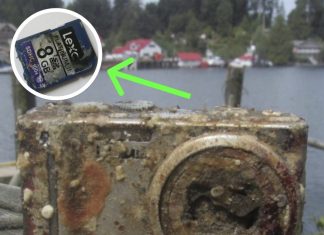 Diver Develops Film From Camera Found At Bottom Of Sea, Freezes Up When He Sees Face Diver Develops Film From Camera Found At Bottom Of Sea, Freezes Up When He Sees Face - featured image